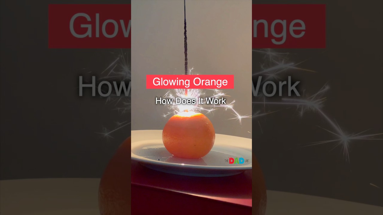 You have to try this experiment this Christmas!